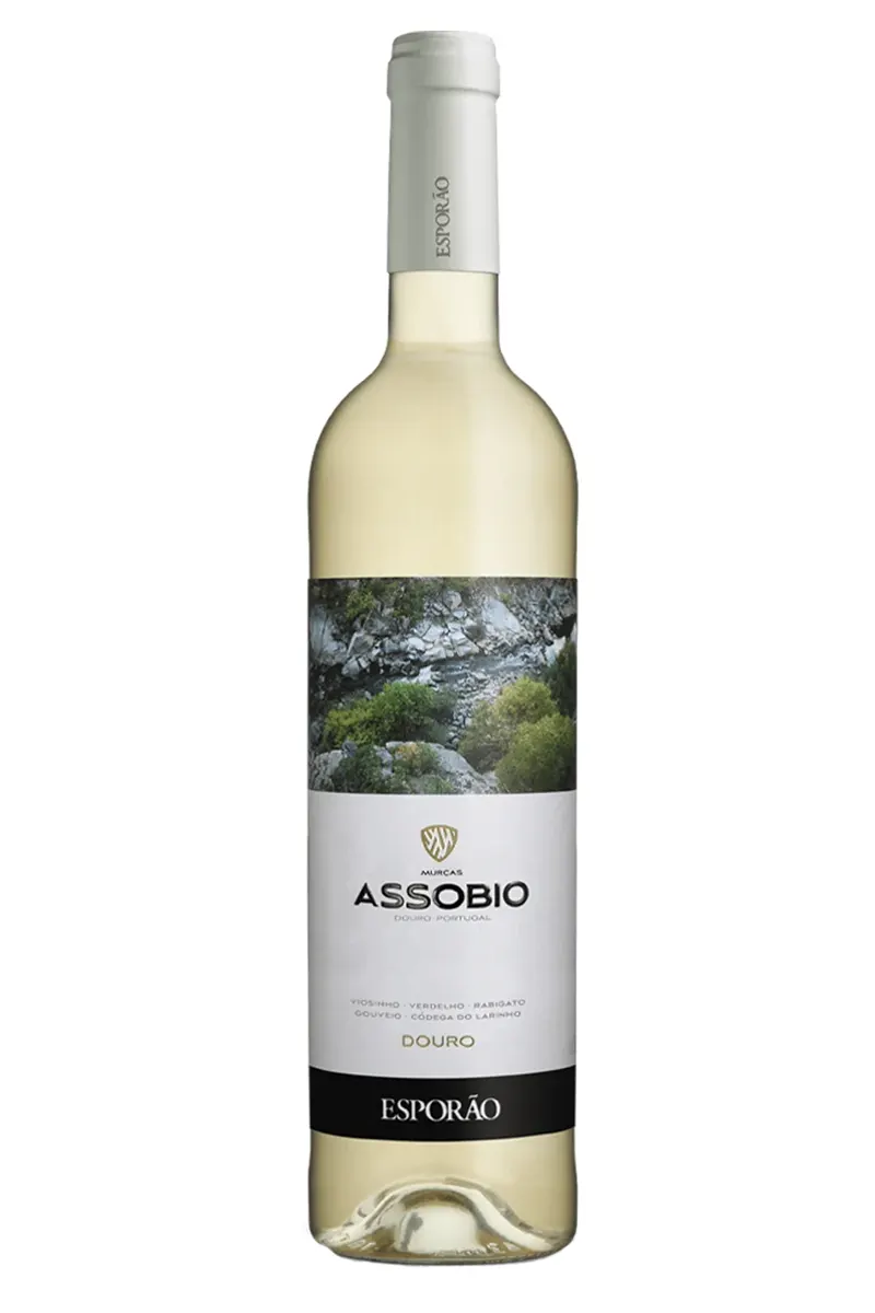 The New Jolly Sailor Assobio Branco