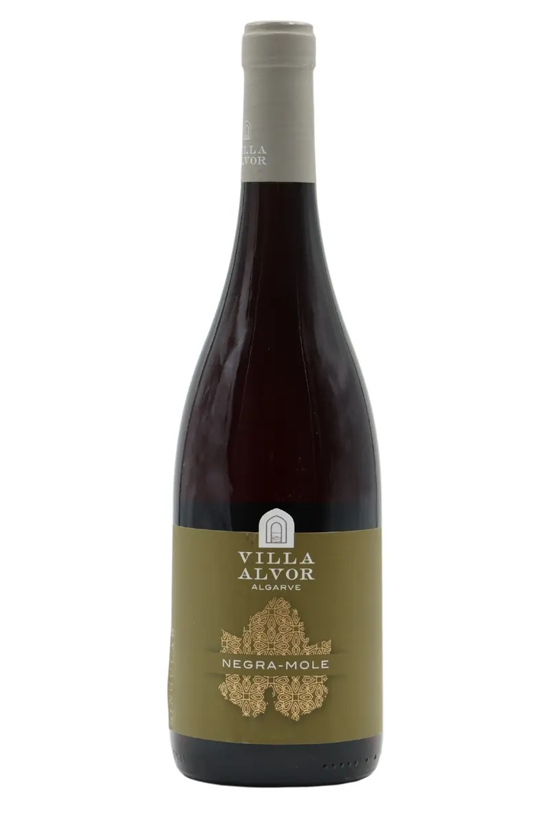 The New Jolly Sailor Singular Negra Mole